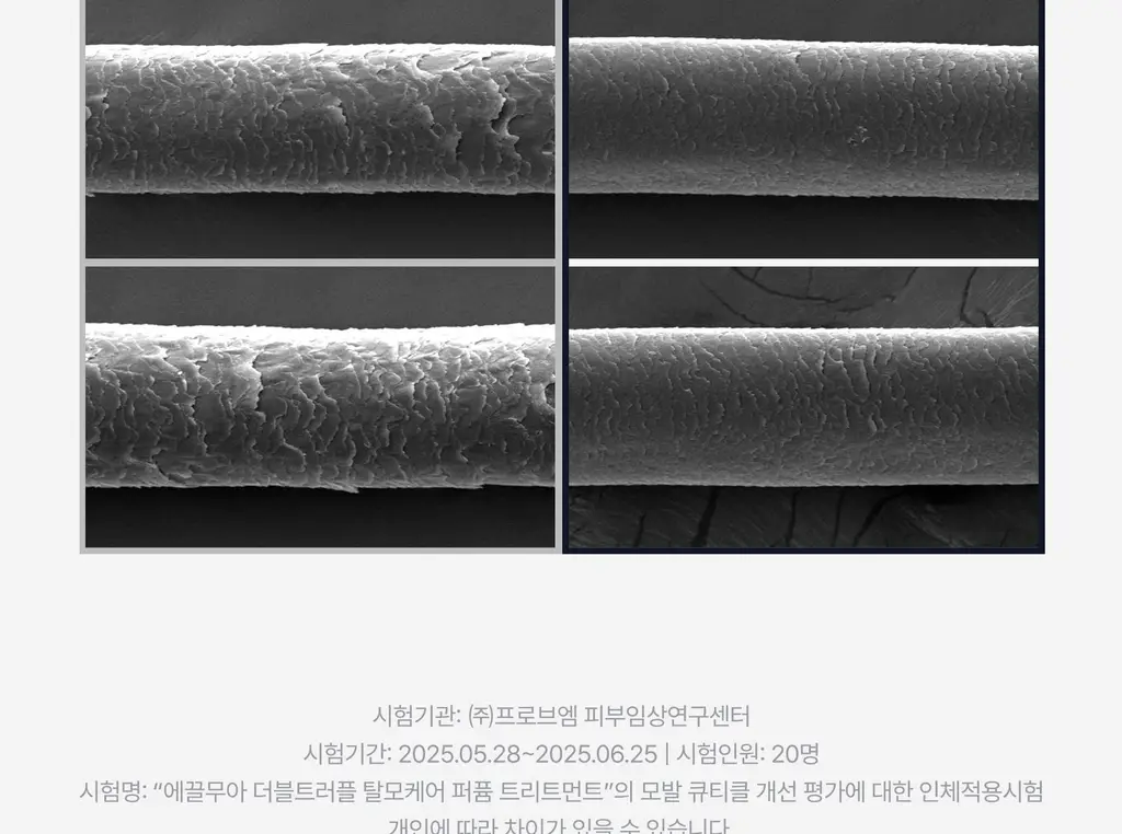 [하늘 PICK/두피겸용쿨링] 에끌무아 더블트러플 탈모케어 퍼퓸 트리트먼트 150ml 상세페이지 31